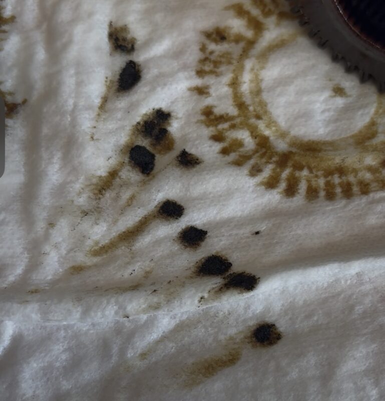 valvoline restore and protect first oil change inspection 1